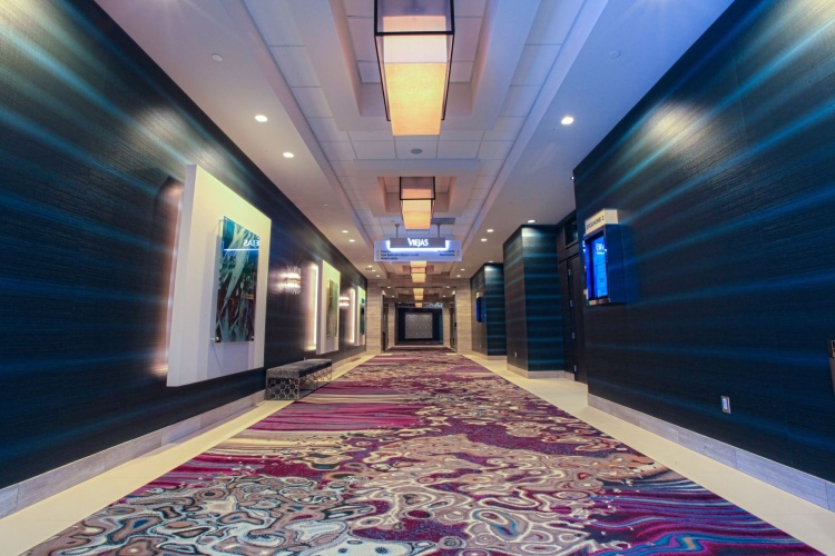 Viejas Casino & Resort photo 6