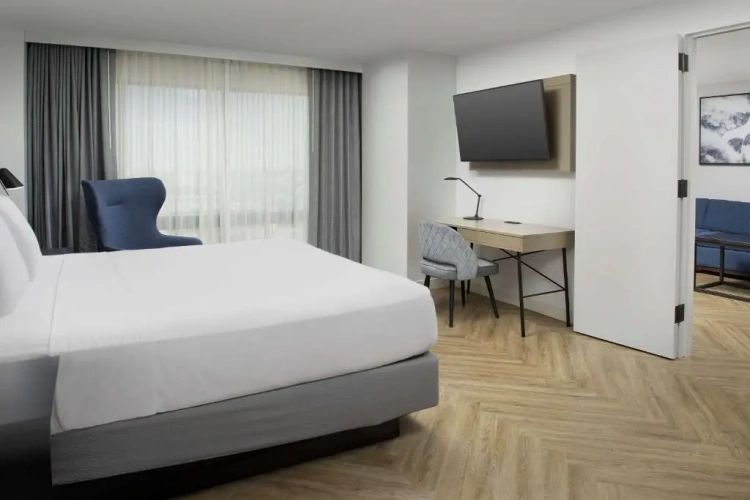 Presidential Double Suite with city view