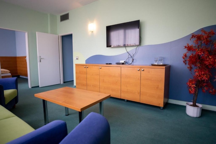 1 Bedroom Suite
