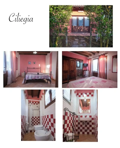 Classic Double room with garden view