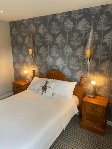 Comfort Double Basement room