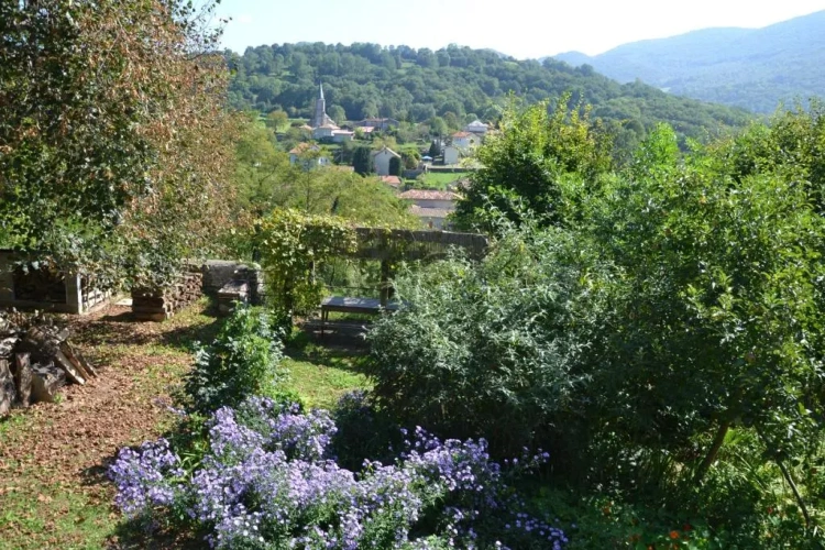 Standard Double room with garden view