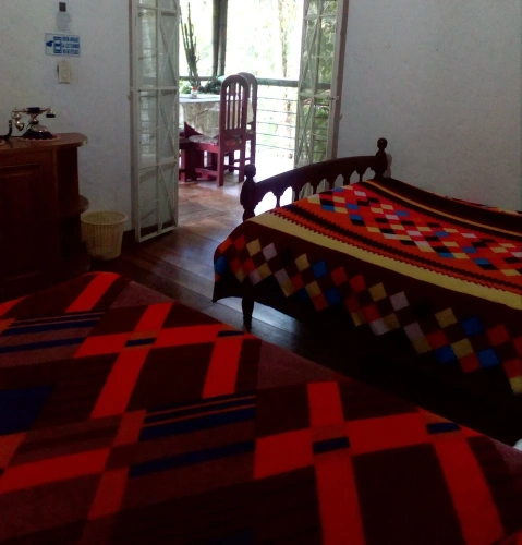 Standard Double Family room with river view