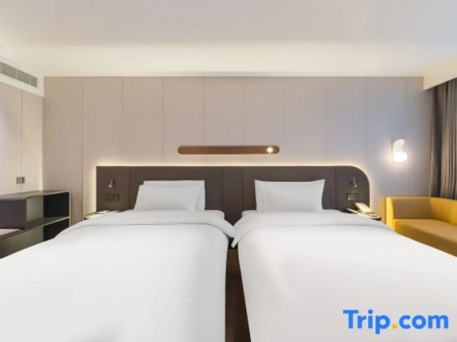 Standard Single Suite