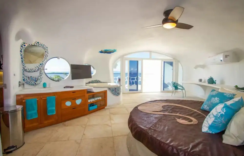 Alterhome Turtle Studio
