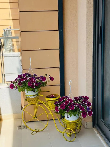 Sunny Apartment in Vlor