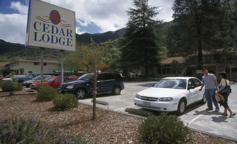 Cedar Lodge photo 16