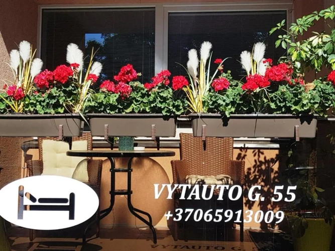 2 Bedrooms Double Apartment