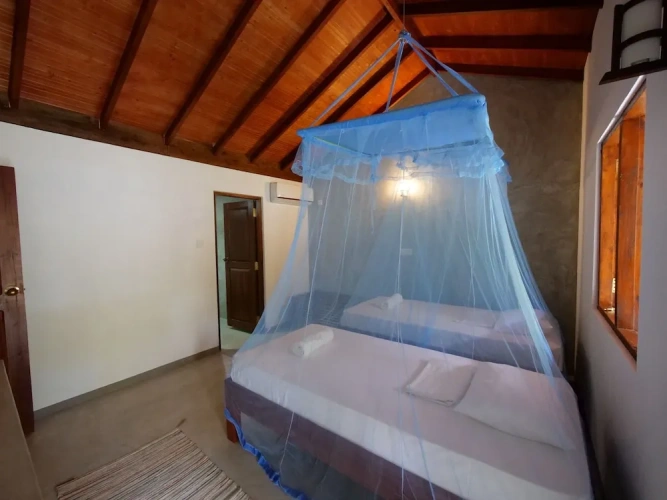 Comfort Double room with pool view