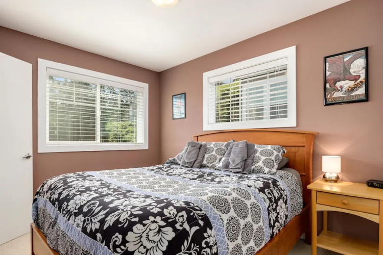 Seattle Vacation Home: The Olympics