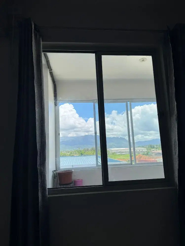 Bula Bliss