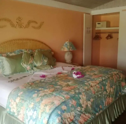 Standard Double room with balcony and with view