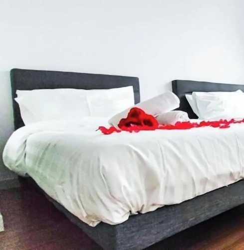Comfort Suite
