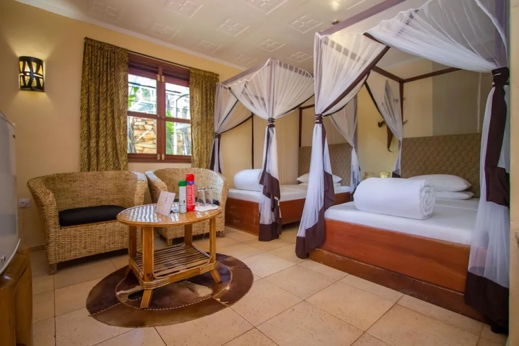 Deluxe Twin room with view
