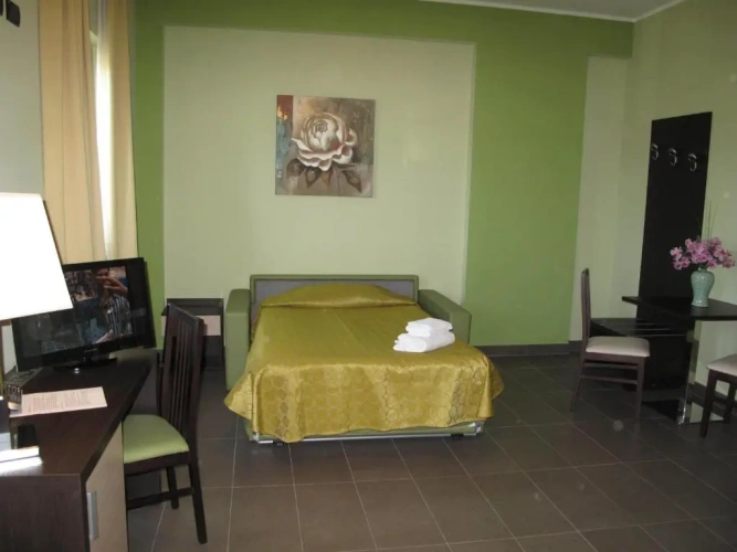 Standard Double room with balcony and with view
