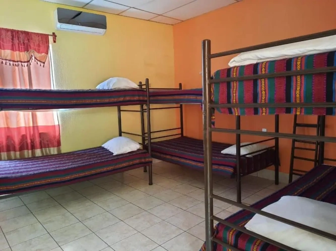 Bed in Dorm