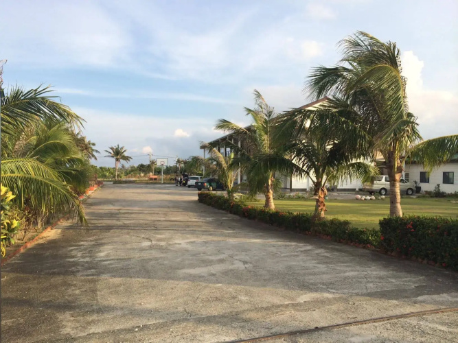 Coconutpalm Home