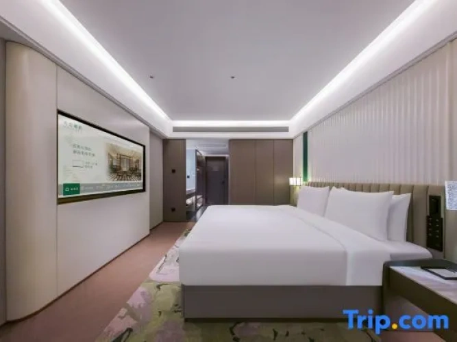 Standard Double room with city view