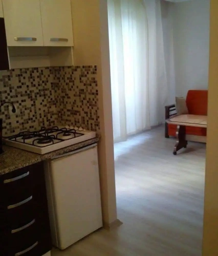 1 Bedroom Classic Apartment