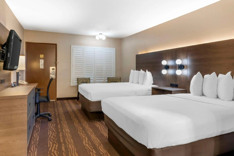 San Francisco Airport Marriott Waterfront photo 8