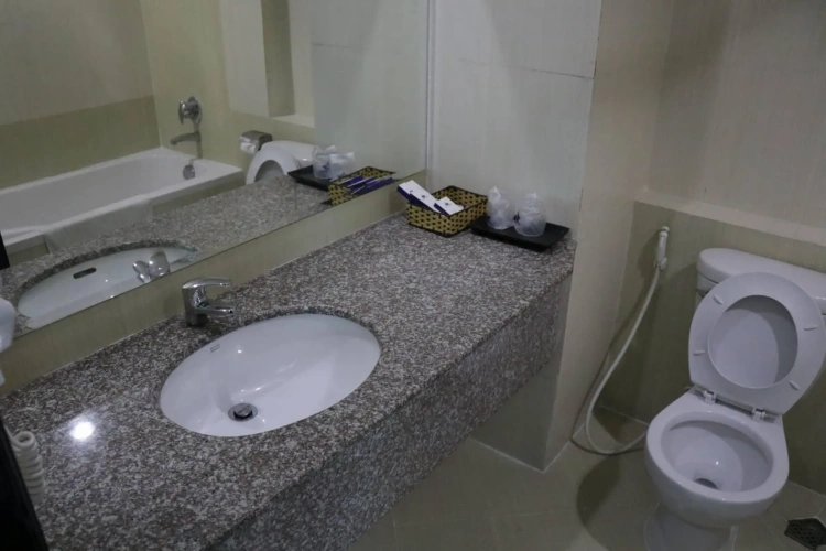 Deluxe Twin room with city view