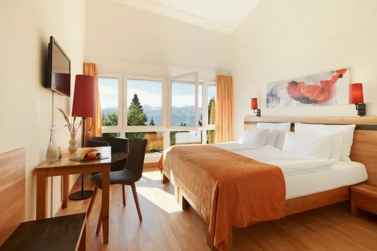 Standard Double room with mountain view