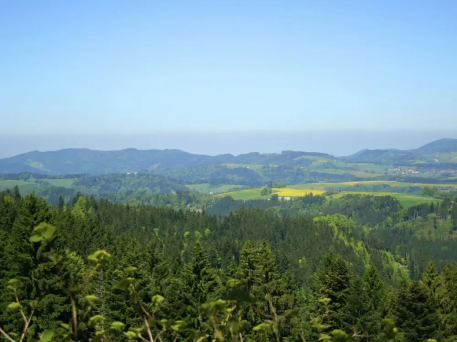 Ferienwohnung im Schwarzwald mit Garten