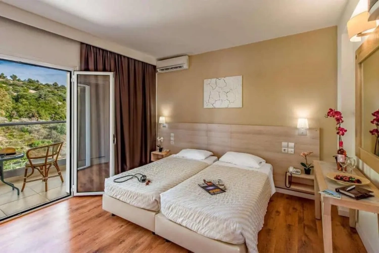 Classic Double room with land view