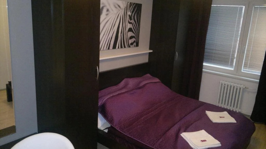 Hotel Terek
