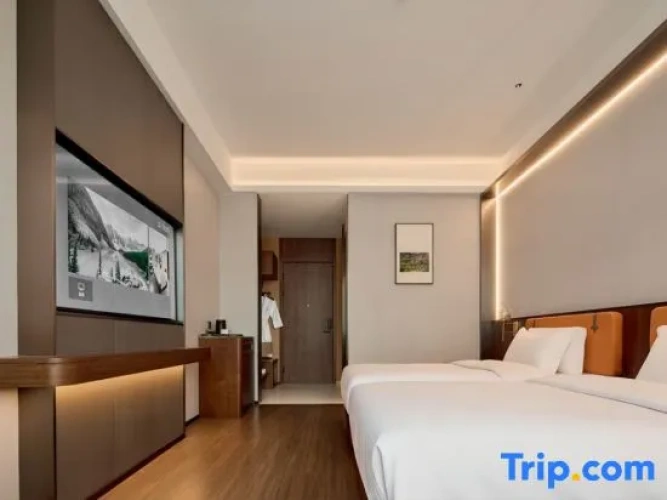 Economy Twin room