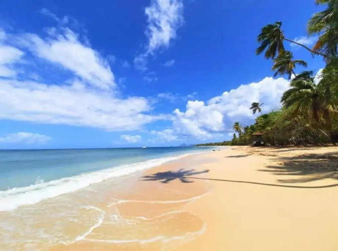 Le Diamant d'Océane, à 50 m de la plage