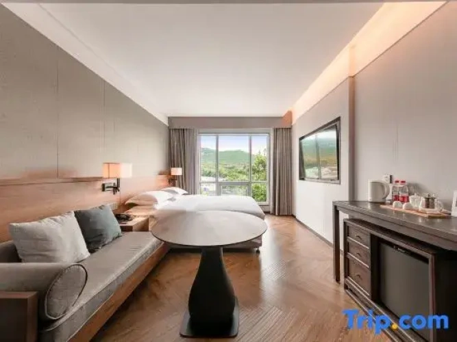 Executive Double room with mountain view
