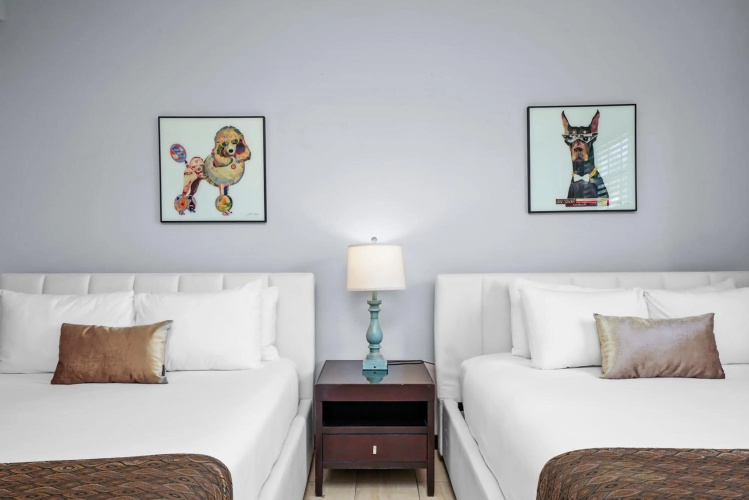 Tradewinds Apartment Hotel photo 8