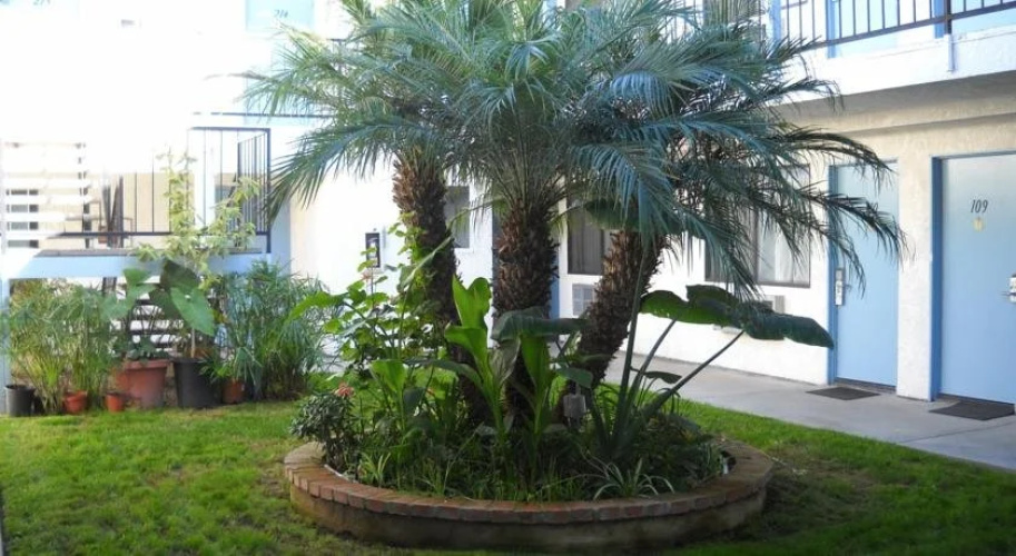 Palms Courtyard Inn
