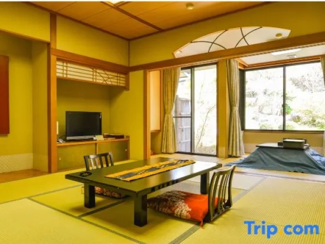 Standard room with river view