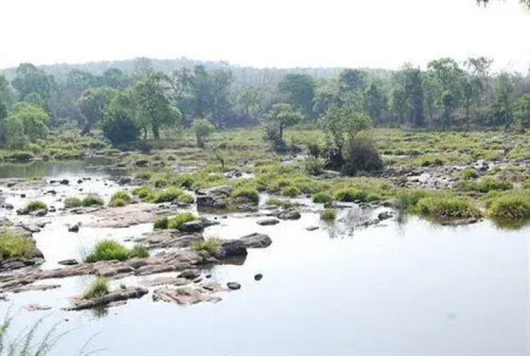 Coorg River View Resort