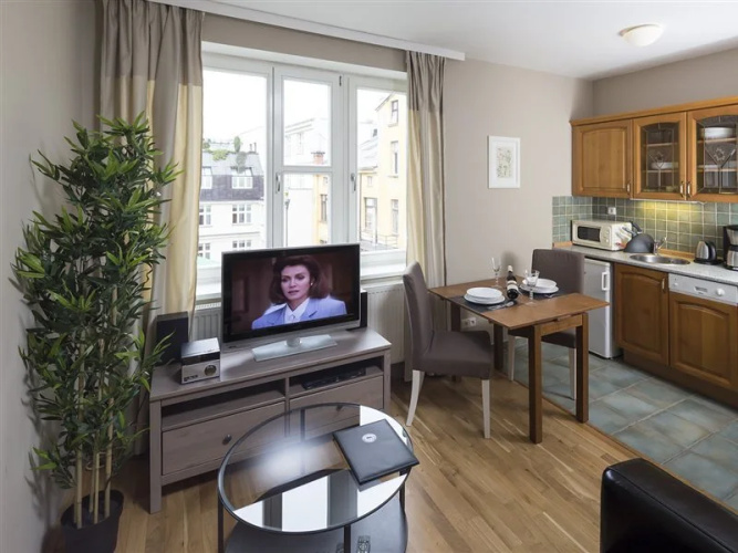 Apartments Wenceslas Square