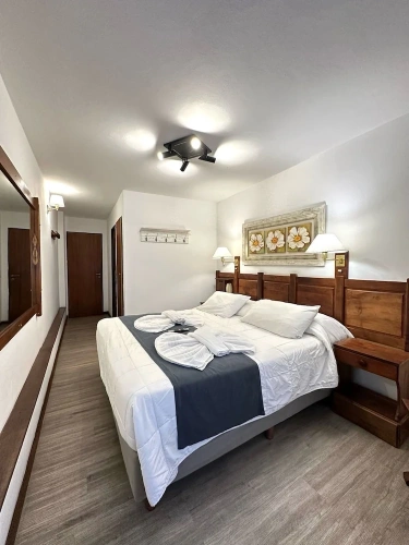 Superior Double room with mountain view