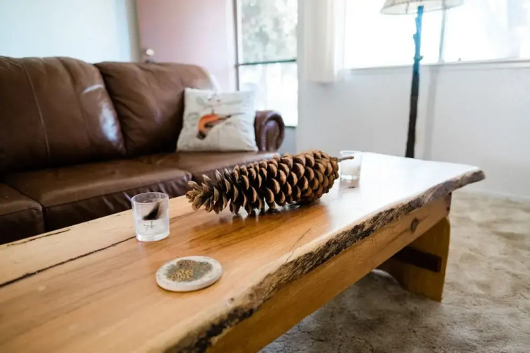 Pinecone Getaway