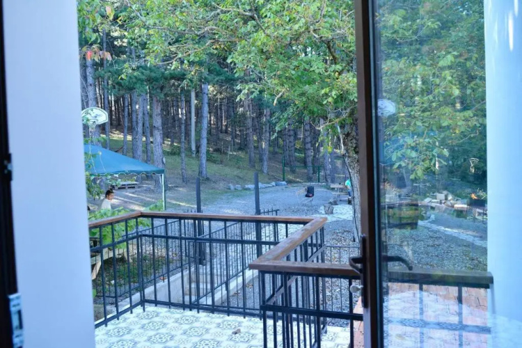 Eco Oasis