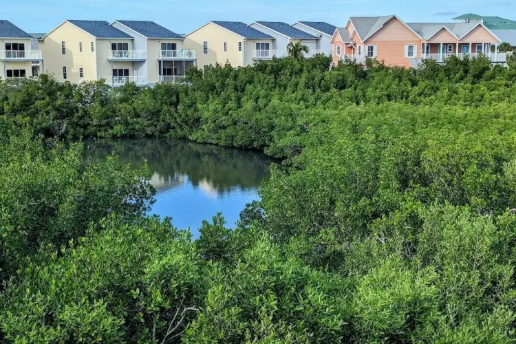 The Intercoastal #209 - Intercoastal Escape
