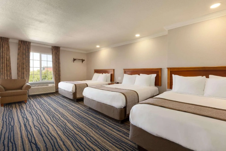 Sextuple Suite