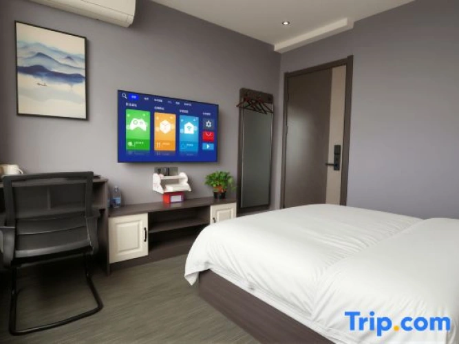 Luxury Single room