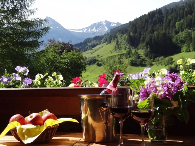 1 Bedroom Apartment with balcony and with mountain view