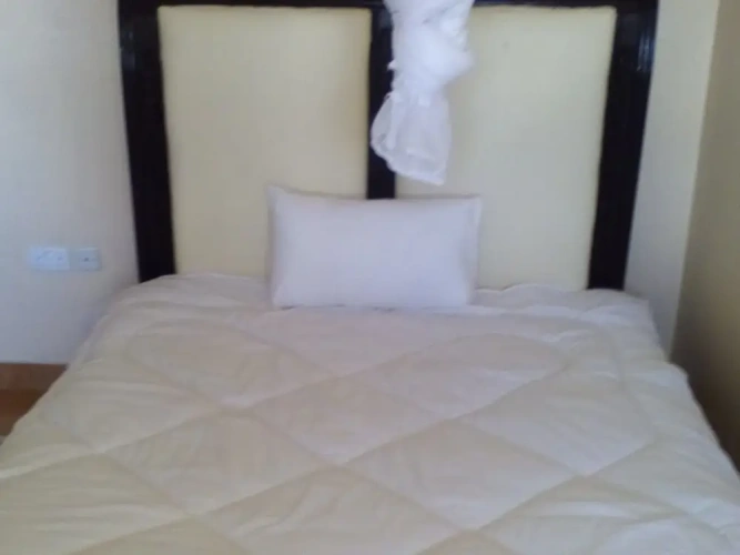 Deluxe Single room with garden view