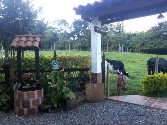 Outside