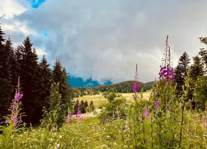 Studio in Chamrousse Near Ski Resort
