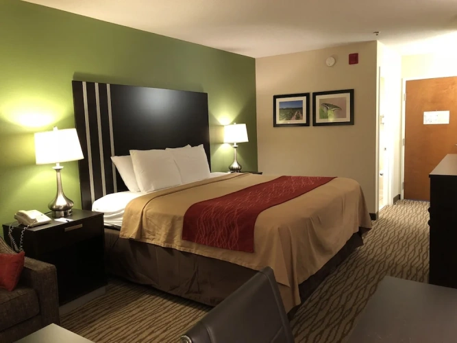 Economy Suite