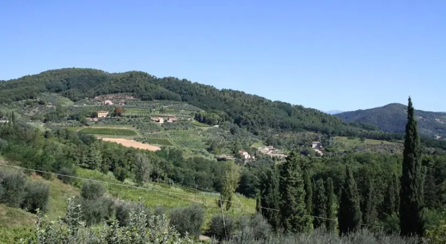 Tenuta Bellosguardo