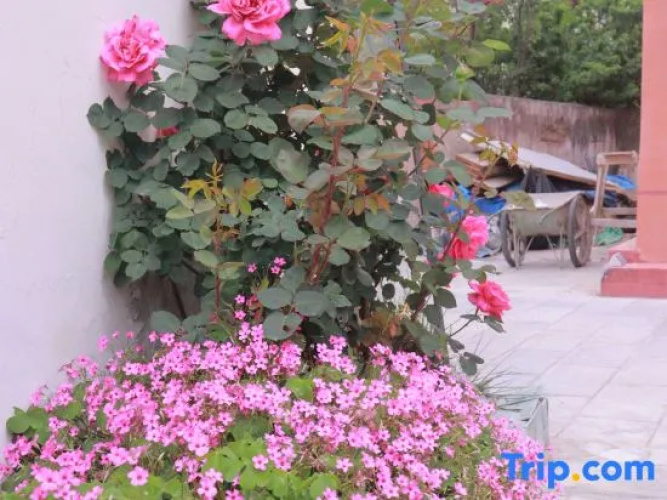 Yongkang Courtyard Boutique Hotel